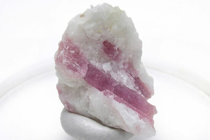 Pink Tourmaline (Rubellite) Crystal - Brazil #221607